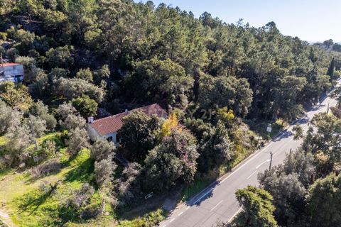 Villa i Monchique, Faro, Monchique - € 299.500 | Ref: C0240-03514 - foto 3