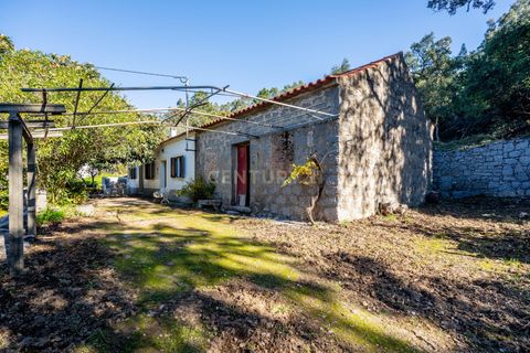 Villa i Monchique, Faro, Monchique - € 299.500 | Ref: C0240-03514 - foto 5