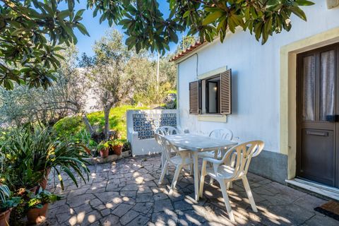 Villa i Monchique, Faro, Monchique - € 299.500 | Ref: C0240-03514 - foto 7