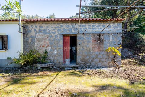 Villa i Monchique, Faro, Monchique - € 299.500 | Ref: C0240-03514 - foto 8