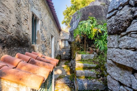 Villa i Monchique, Faro, Monchique - € 299.500 | Ref: C0240-03514 - foto 10