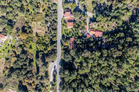 Villa i Monchique, Faro, Monchique - € 299.500 | Ref: C0240-03514 - foto 12