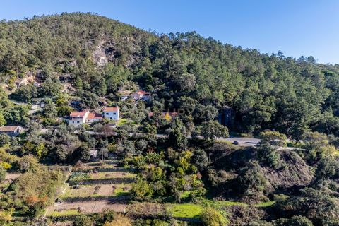 Villa i Monchique, Faro, Monchique - € 299.500 | Ref: C0240-03514 - foto 13