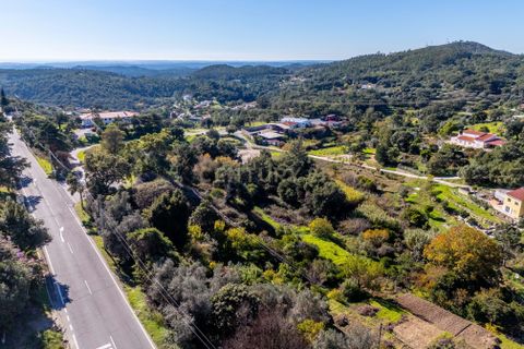Villa i Monchique, Faro, Monchique - € 299.500 | Ref: C0240-03514 - foto 16