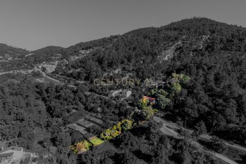 Villa i Monchique, Faro, Monchique - € 299.500 | Ref: C0240-03514 - foto 18