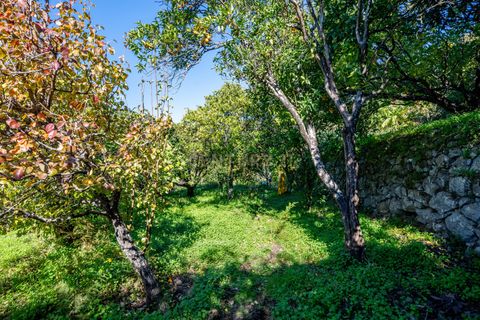 Villa i Monchique, Faro, Monchique - € 299.500 | Ref: C0240-03514 - foto 36