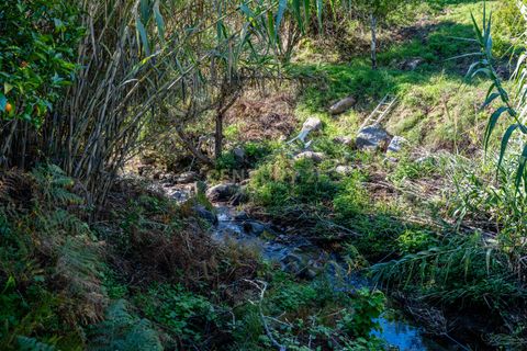 Villa i Monchique, Faro, Monchique - € 299.500 | Ref: C0240-03514 - foto 37