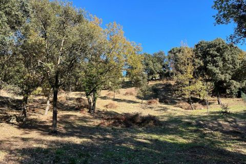 Terra a Puget, Vaucluse, Puget - € 332.800 | Ref: 84837 - foto 2