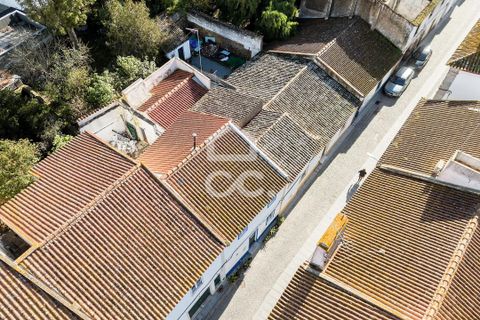 Villa i Alcacovas, Evora, Alcacovas - € 179.000 | Ref: 318/M/03752 - foto 32