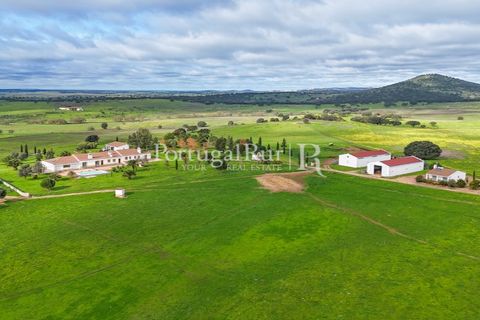 Landejendom i Estremoz, Evora, Estremoz - € 2.250.000 | Ref: FG864 - foto 3