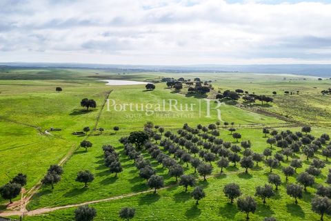 Landejendom i Estremoz, Evora, Estremoz - € 2.250.000 | Ref: FG864 - foto 6
