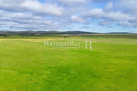 Landejendom i Estremoz, Evora, Estremoz - € 2.250.000 | Ref: FG864 - foto 7