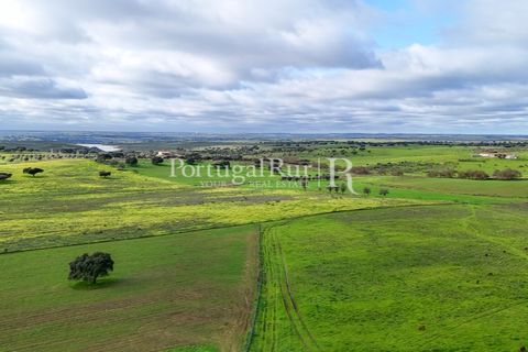 Landejendom i Estremoz, Evora, Estremoz - € 2.250.000 | Ref: FG864 - foto 8