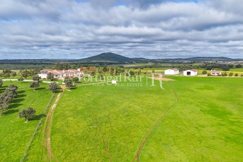 Landejendom i Estremoz, Evora, Estremoz - € 2.250.000 | Ref: FG864 - foto 9