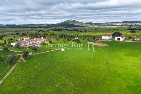 Landejendom i Estremoz, Evora, Estremoz - € 2.250.000 | Ref: FG864 - foto 11