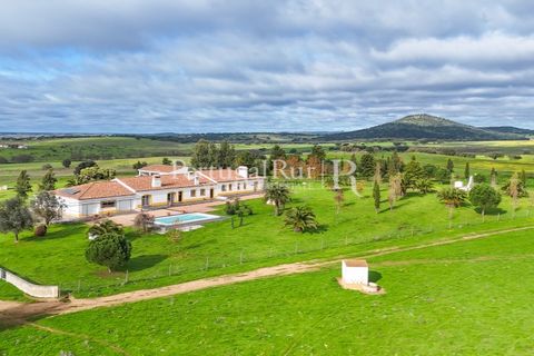 Landejendom i Estremoz, Evora, Estremoz - € 2.250.000 | Ref: FG864 - foto 12