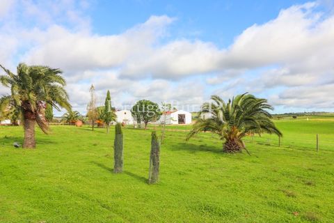 Landejendom i Estremoz, Evora, Estremoz - € 2.250.000 | Ref: FG864 - foto 50