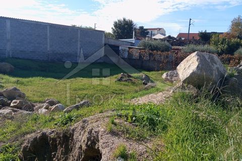 Helårsgrund i Castelo Branco, Castelo Branco, Castelo Branco - € 65.000 | Ref: SÒL_178 - foto 5