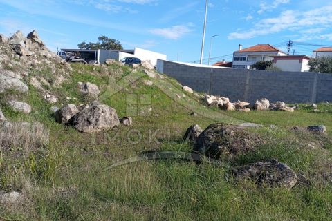 Helårsgrund i Castelo Branco, Castelo Branco, Castelo Branco - € 65.000 | Ref: SÒL_178 - foto 12