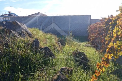Helårsgrund i Castelo Branco, Castelo Branco, Castelo Branco - € 65.000 | Ref: SÒL_178 - foto 38