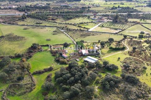Landejendom i Alcains, Castelo Branco, Alcains - € 1.199.000 | Ref: IM367 - foto 6