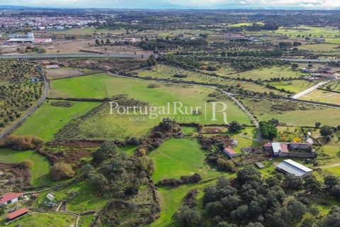 Landejendom i Alcains, Castelo Branco, Alcains - € 1.199.000 | Ref: IM367 - foto 9