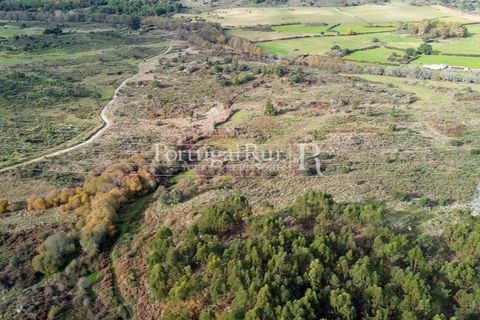 Landejendom i Alcains, Castelo Branco, Alcains - € 1.199.000 | Ref: IM367 - foto 10