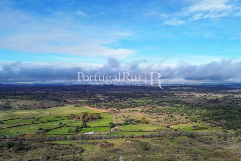 Landejendom i Alcains, Castelo Branco, Alcains - € 1.199.000 | Ref: IM367 - foto 13