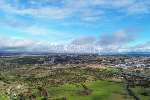 Landejendom i Alcains, Castelo Branco, Alcains - € 1.199.000 | Ref: IM367 - foto 14