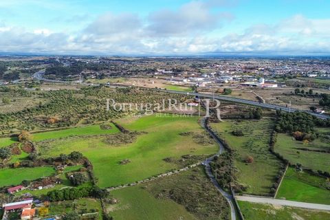 Landejendom i Alcains, Castelo Branco, Alcains - € 1.199.000 | Ref: IM367 - foto 15