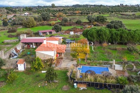 Landejendom i Alcains, Castelo Branco, Alcains - € 1.199.000 | Ref: IM367 - foto 16