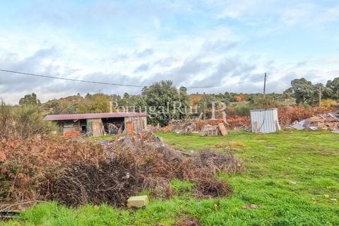 Landejendom i Alcains, Castelo Branco, Alcains - € 1.199.000 | Ref: IM367 - foto 35