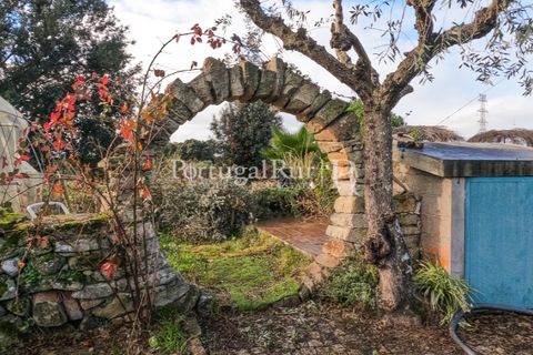 Landejendom i Alcains, Castelo Branco, Alcains - € 1.199.000 | Ref: IM367 - foto 37