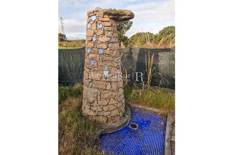 Landejendom i Alcains, Castelo Branco, Alcains - € 1.199.000 | Ref: IM367 - foto 39
