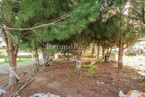 Landejendom i Alcains, Castelo Branco, Alcains - € 1.199.000 | Ref: IM367 - foto 46