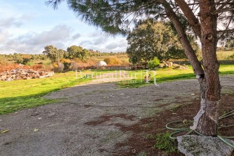 Landejendom i Alcains, Castelo Branco, Alcains - € 1.199.000 | Ref: IM367 - foto 47
