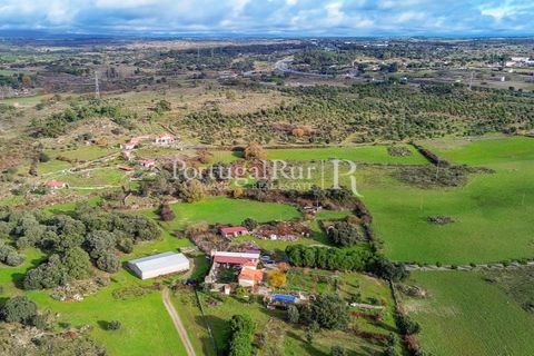 Landejendom i Alcains, Castelo Branco, Alcains - € 1.199.000 | Ref: IM367 - foto 2