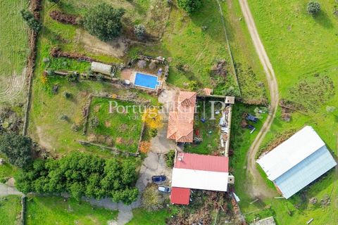 Landejendom i Alcains, Castelo Branco, Alcains - € 1.199.000 | Ref: IM367 - foto 3
