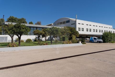 Erhvervsejendom i Setubal, Setubal, Setubal - € 4.750.000 | Ref: PE-123751151-124 - foto 2
