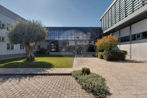 Erhvervsejendom i Setubal, Setubal, Setubal - € 4.750.000 | Ref: PE-123751151-124 - foto 4