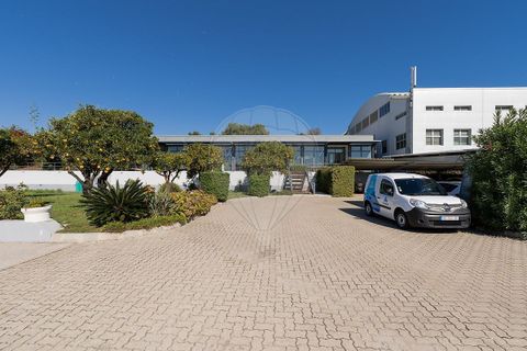Erhvervsejendom i Setubal, Setubal, Setubal - € 4.750.000 | Ref: PE-123751151-124 - foto 5