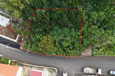 Tomt i Biscoitos, Terceira, Biscoitos - € 46 000 | Ref: C0423-00664 - foto 2