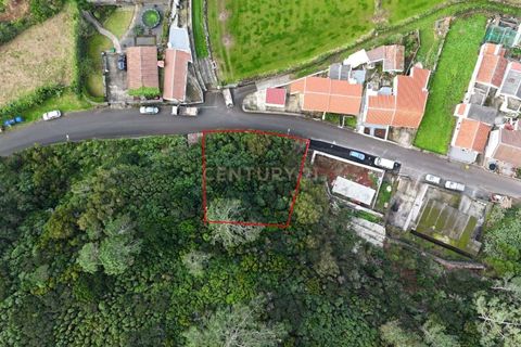 Tomt i Biscoitos, Terceira, Biscoitos - € 46 000 | Ref: C0423-00664 - foto 3