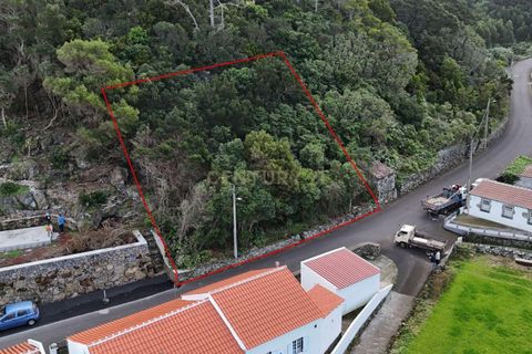 Tomt i Biscoitos, Terceira, Biscoitos - € 46 000 | Ref: C0423-00664 - foto 4