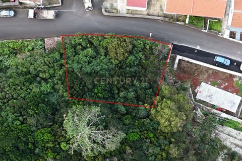 Tomt i Biscoitos, Terceira, Biscoitos - € 46 000 | Ref: C0423-00664 - foto 5