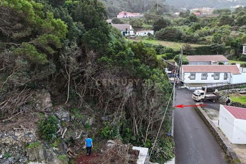 Tomt i Biscoitos, Terceira, Biscoitos - € 46 000 | Ref: C0423-00664 - foto 6