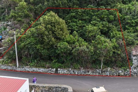 Tomt i Biscoitos, Terceira, Biscoitos - € 46 000 | Ref: C0423-00664 - foto 7