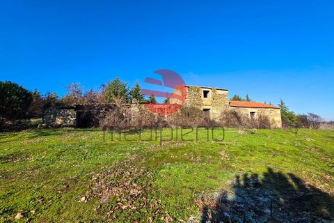 Farm i Meda, Guarda, Meda - € 190.000 | Ref: 495/MDA - foto 2