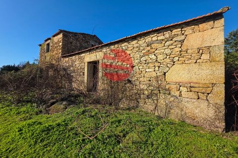 Farm i Meda, Guarda, Meda - € 190.000 | Ref: 495/MDA - foto 3