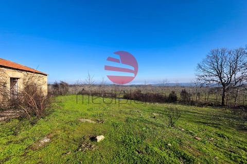 Farm i Meda, Guarda, Meda - € 190.000 | Ref: 495/MDA - foto 4